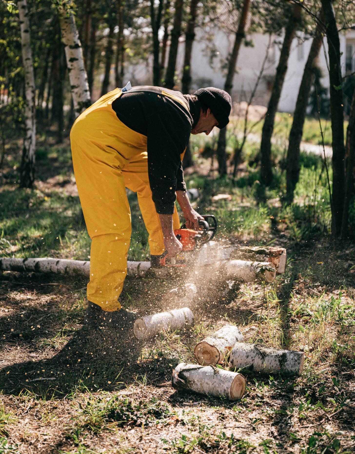 Arborist